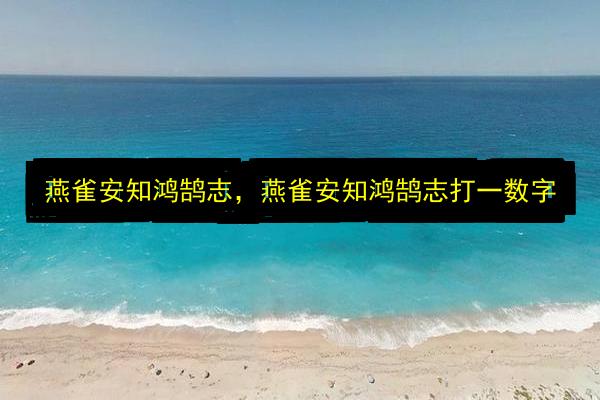 文章配图