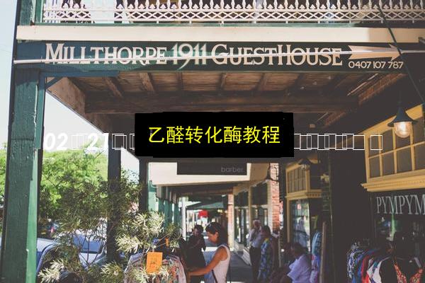 乙醛转化酶教程插图 文章配图