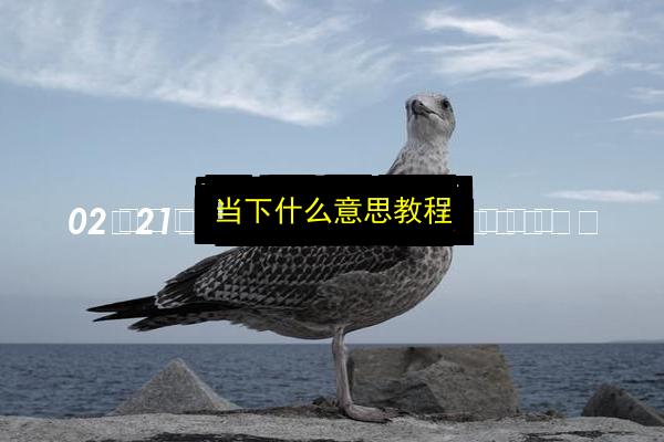 文章配图