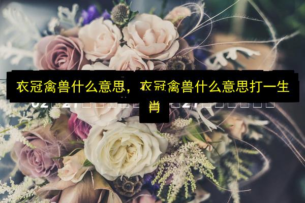 文章配图