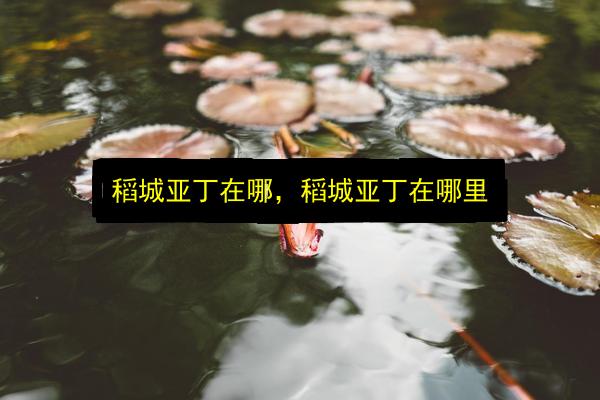 文章配图