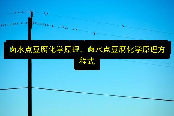 卤水点豆腐化学原理,卤水点豆腐化学原理方程式插图 文章配图