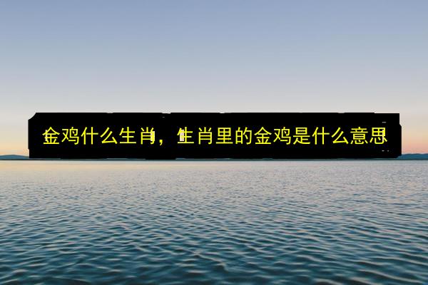 文章配图
