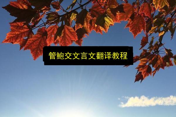 文章配图