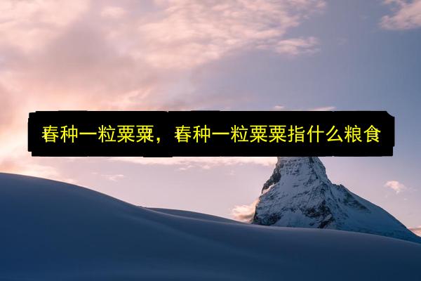 文章配图