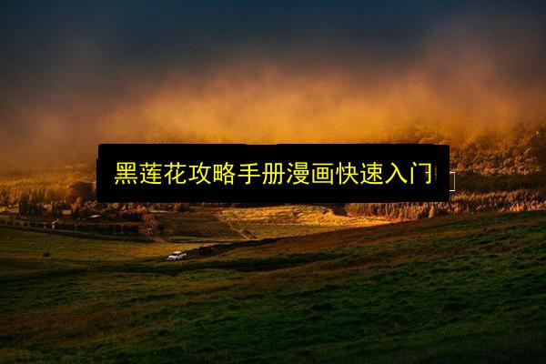 文章配图