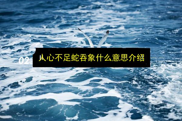 文章配图