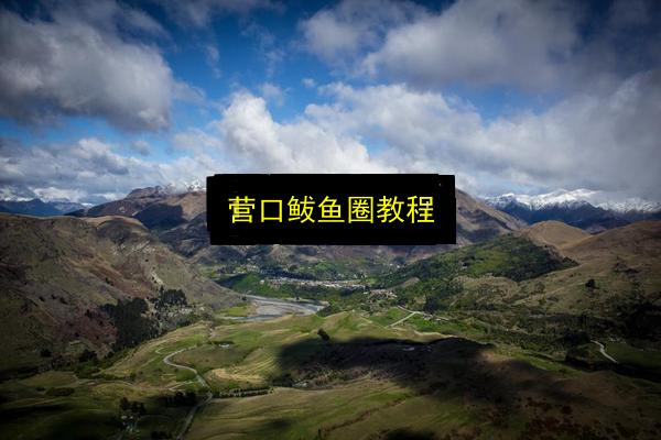 营口鲅鱼圈教程插图 文章配图