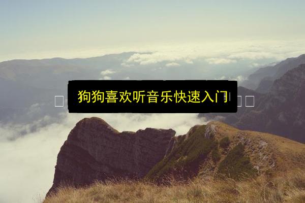 文章配图