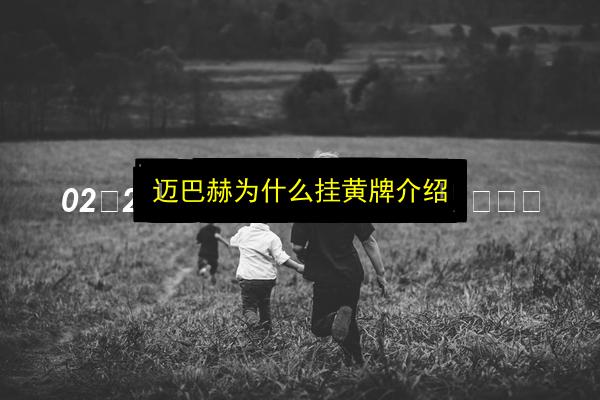 迈巴赫为什么挂黄牌介绍插图 文章配图