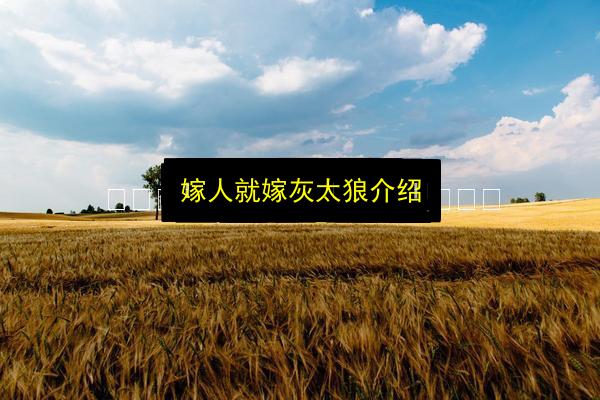 嫁人就嫁灰太狼介绍插图 文章配图