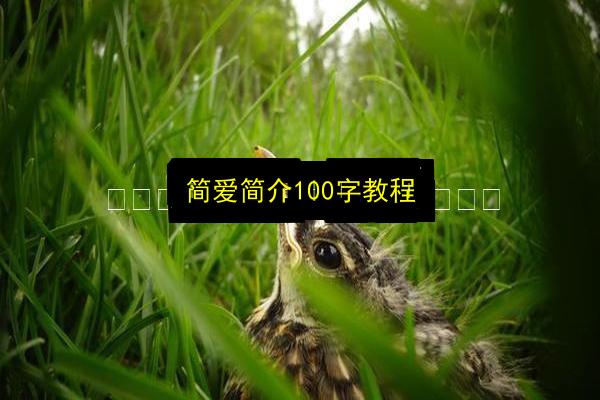 简爱简介100字教程插图 文章配图