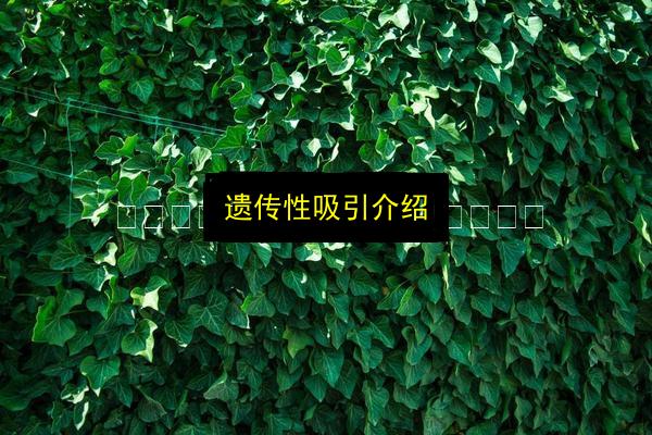 文章配图