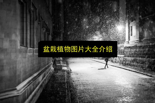 文章配图