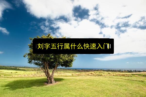 刘字五行属什么快速入门插图 文章配图