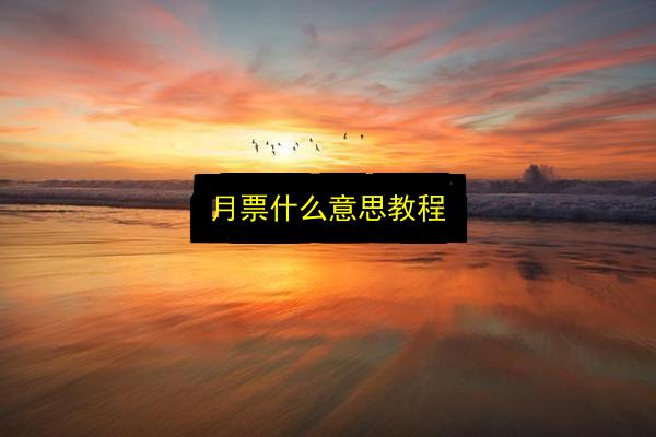 月票什么意思教程插图 文章配图