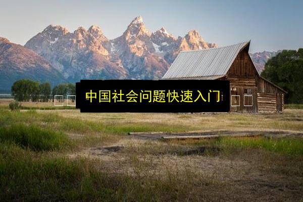 中国社会问题快速入门插图 文章配图