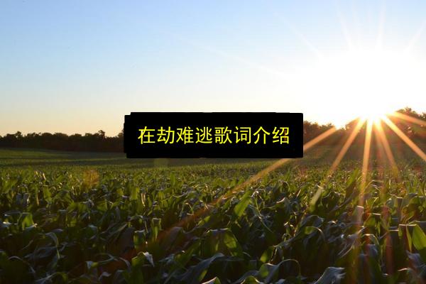 在劫难逃歌词介绍插图 文章配图