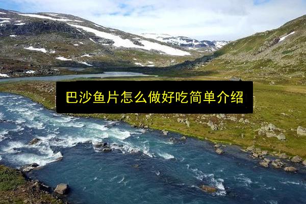巴沙鱼片怎么做好吃简单介绍插图 文章配图