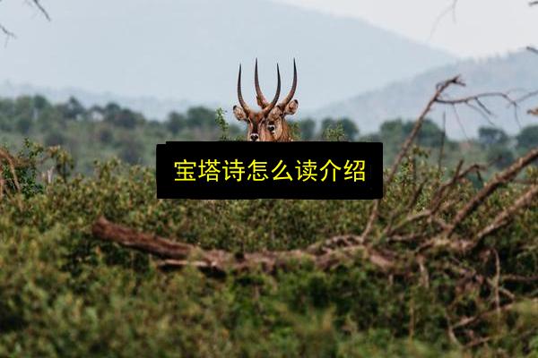 宝塔诗怎么读介绍插图 文章配图