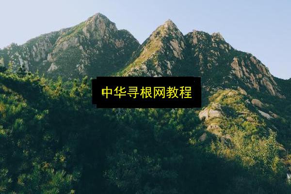 中华寻根网教程插图 文章配图