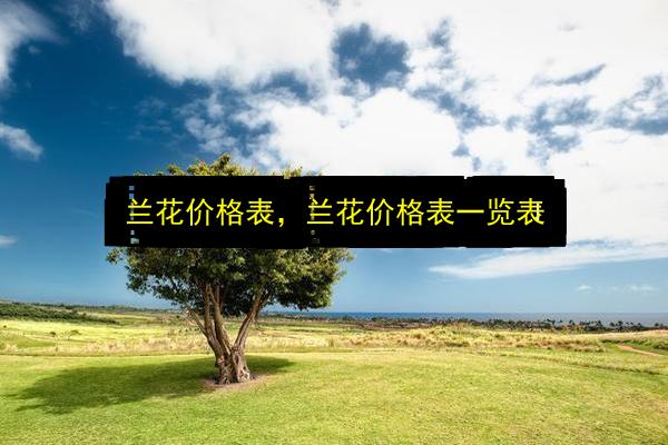 兰花价格表,兰花价格表一览表插图 文章配图