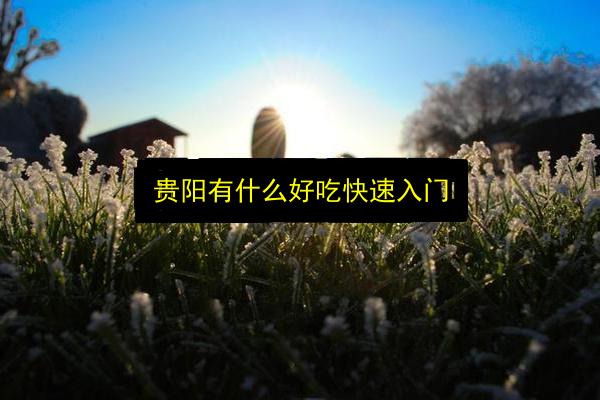 贵阳有什么好吃快速入门插图 文章配图