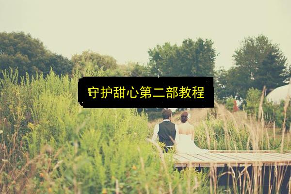 守护甜心第二部教程插图 文章配图