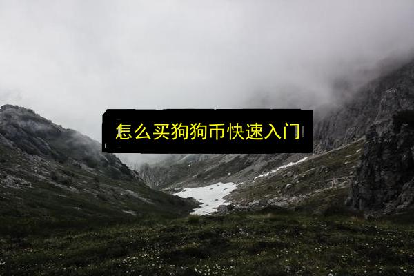 怎么买狗狗币快速入门插图 文章配图