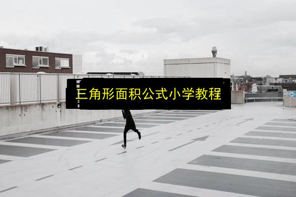 三角形面积公式小学教程插图 文章配图