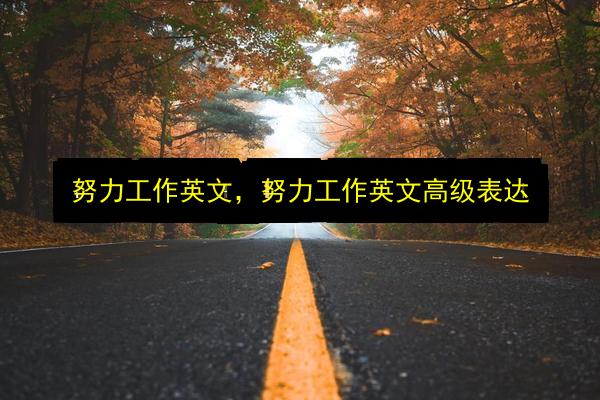 努力工作英文,努力工作英文高级表达插图 文章配图