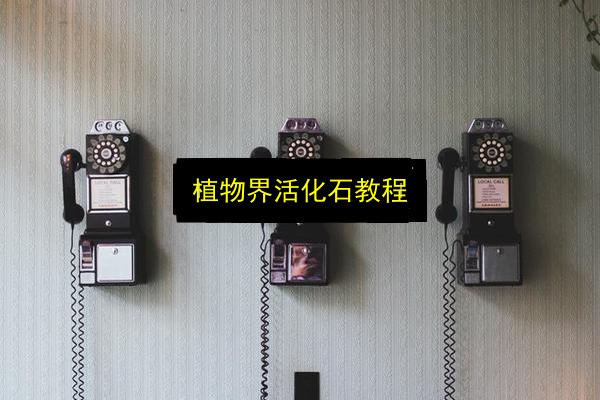 植物界活化石教程插图 文章配图