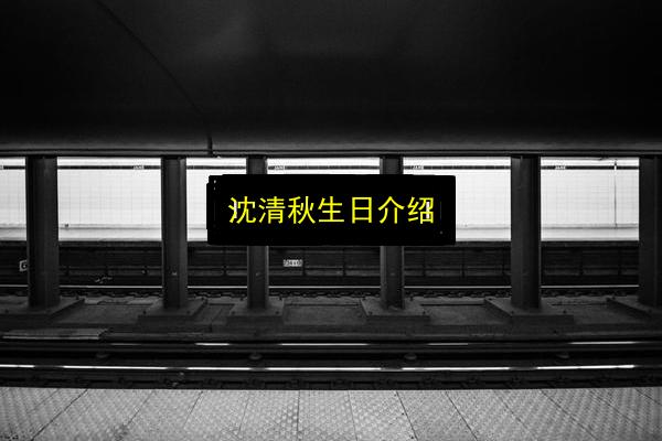 沈清秋生日介绍插图 文章配图