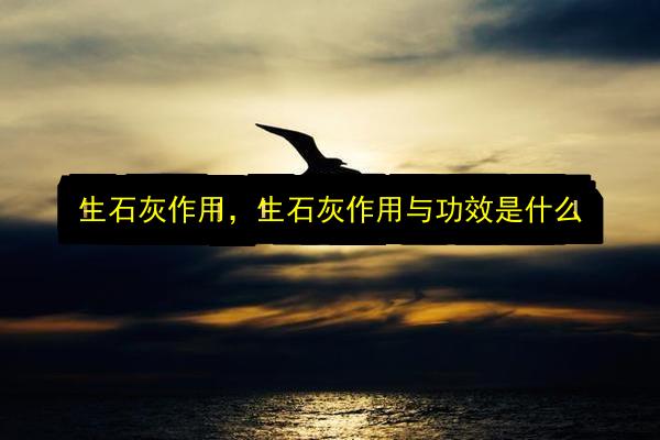 生石灰作用,生石灰作用与功效是什么插图 文章配图