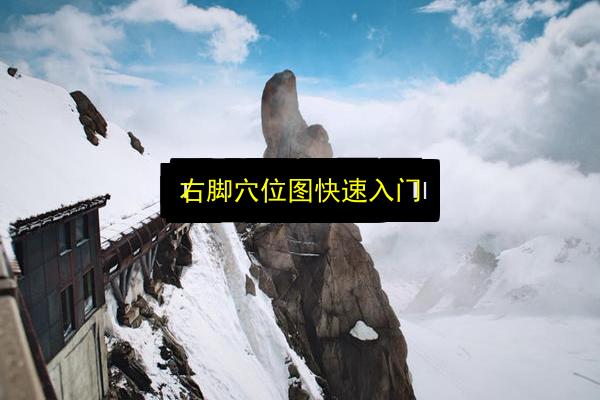 右脚穴位图快速入门插图 文章配图