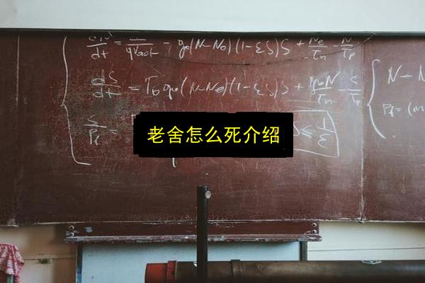 老舍怎么死介绍插图 文章配图