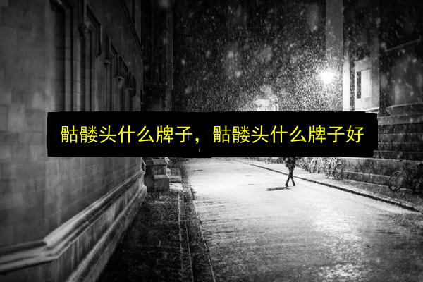 骷髅头什么牌子,骷髅头什么牌子好插图 文章配图