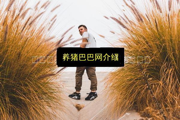 养猪巴巴网介绍插图 文章配图