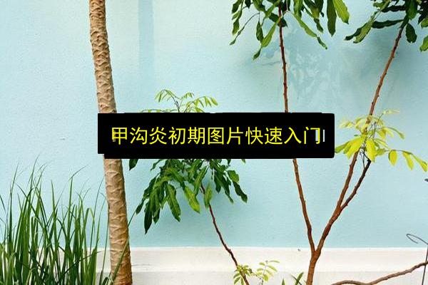 甲沟炎初期图片快速入门插图 文章配图