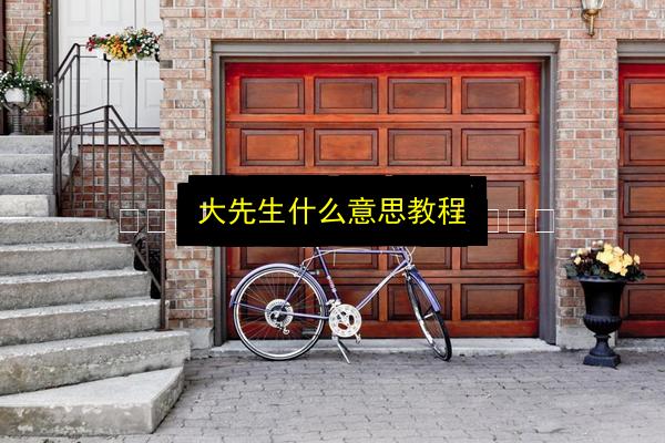 大先生什么意思教程插图 文章配图