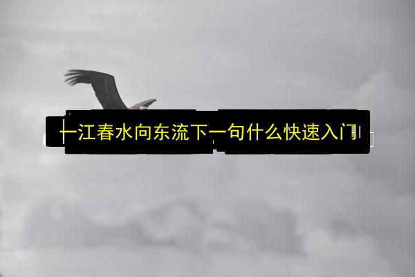 一江春水向东流下一句什么快速入门插图 文章配图