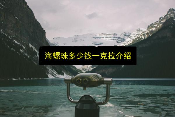 海螺珠多少钱一克拉介绍插图 文章配图