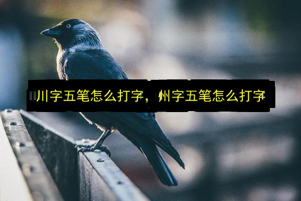 川字五笔怎么打字,州字五笔怎么打字插图 文章配图