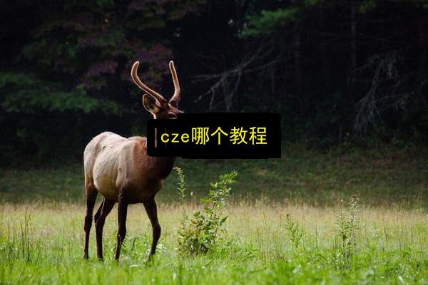 cze哪个教程插图 文章配图