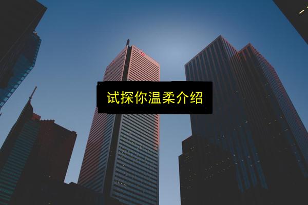 试探你温柔介绍插图 文章配图