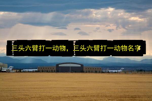 三头六臂打一动物,三头六臂打一动物名字插图 文章配图