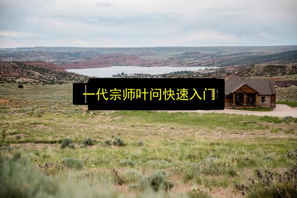 一代宗师叶问快速入门插图 文章配图