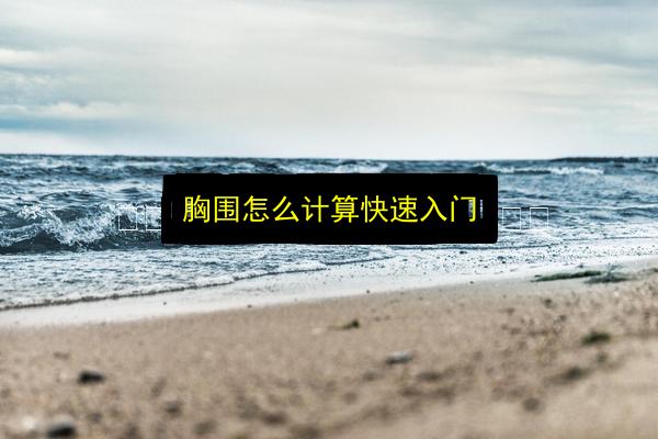 胸围怎么计算快速入门插图 文章配图