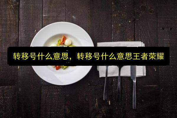 转移号什么意思,转移号什么意思王者荣耀插图 文章配图
