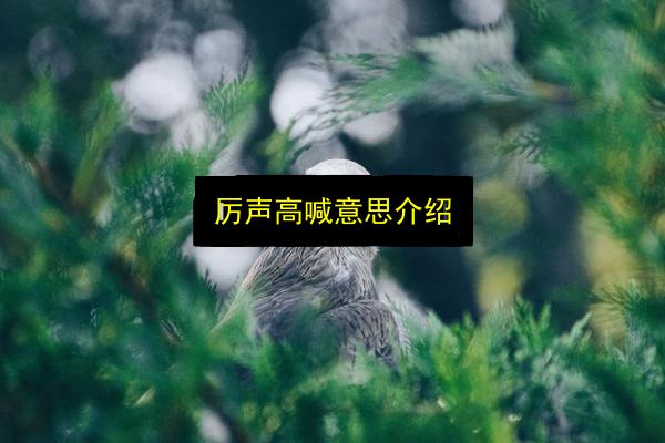 厉声高喊意思介绍插图 文章配图